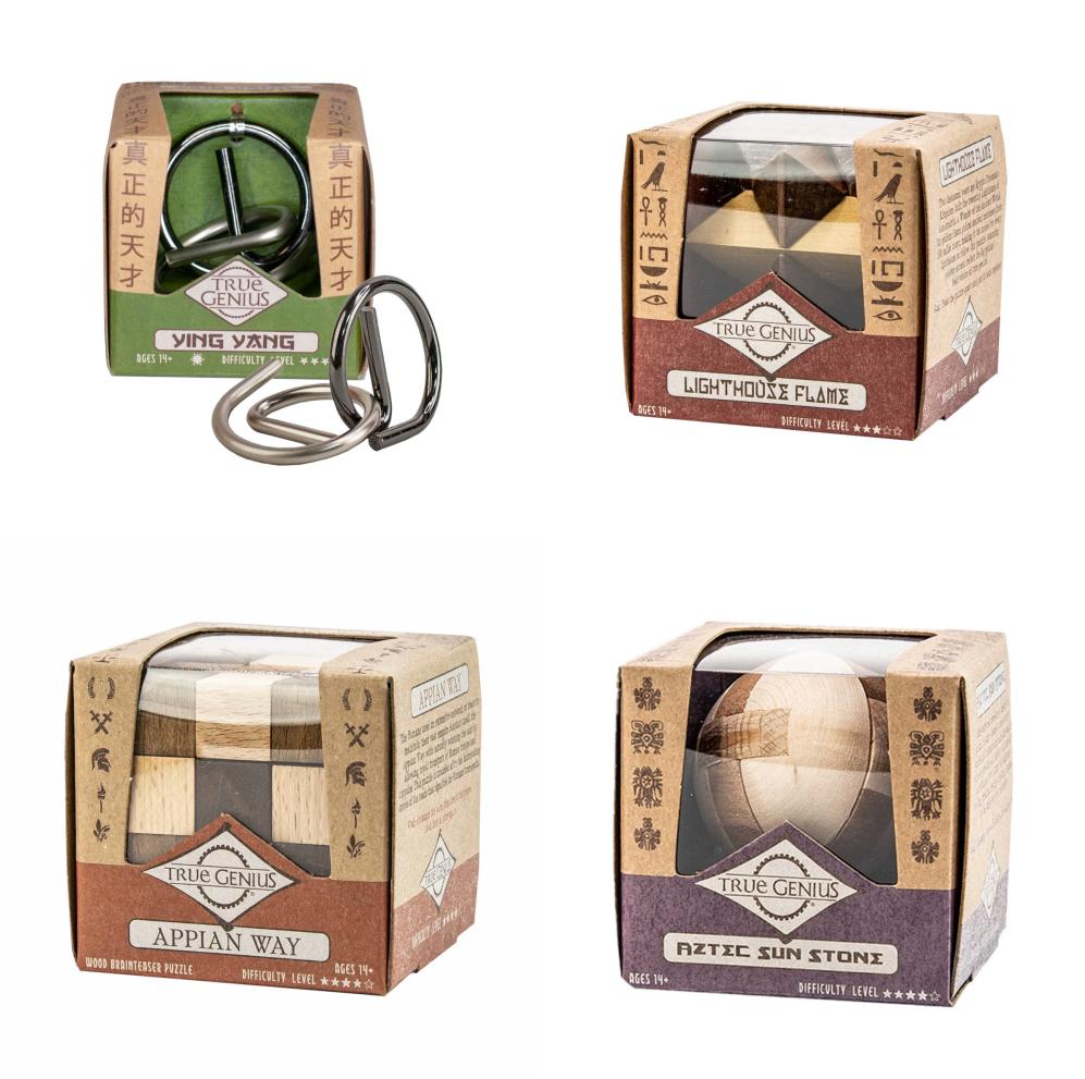 Project Genius True Genius Wooden Brainteaser Puzzle Assorted