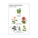 Panier Des Sens Rose Geranium Candle 180g | Minimax