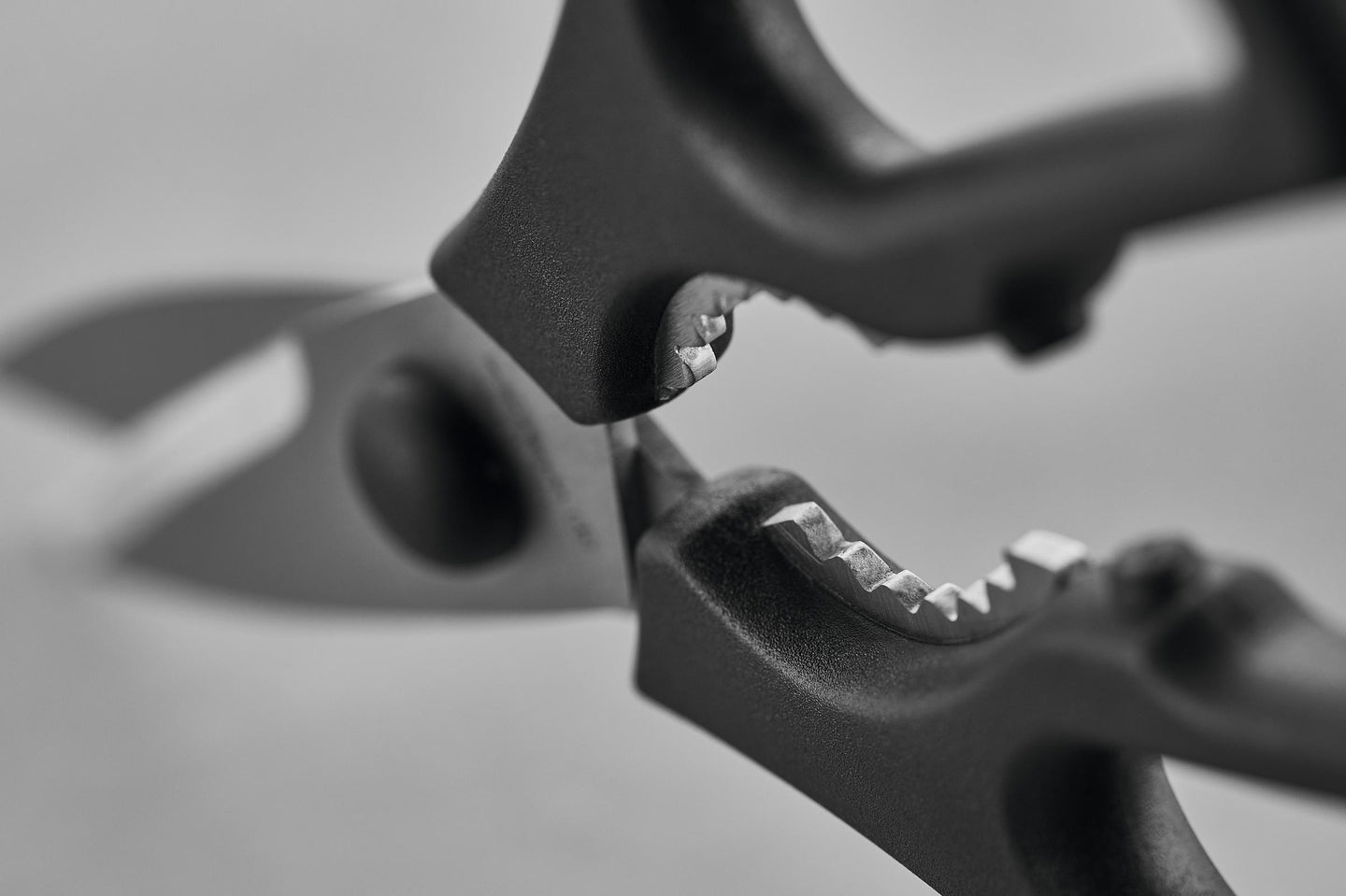 Wusthof Classic Knife Block Set 8 Piece | Minimax