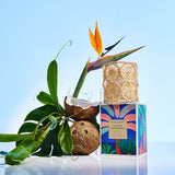 Glasshouse Fragrances Lagoon Afternoon Candle 380g Limited Edition | Minimax - blue background with coconut
