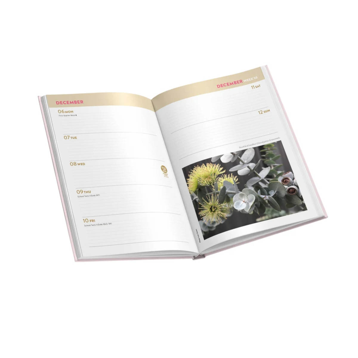 Australian Broadcasting Corporation 2027 Gardening Australia Diary | Minimax