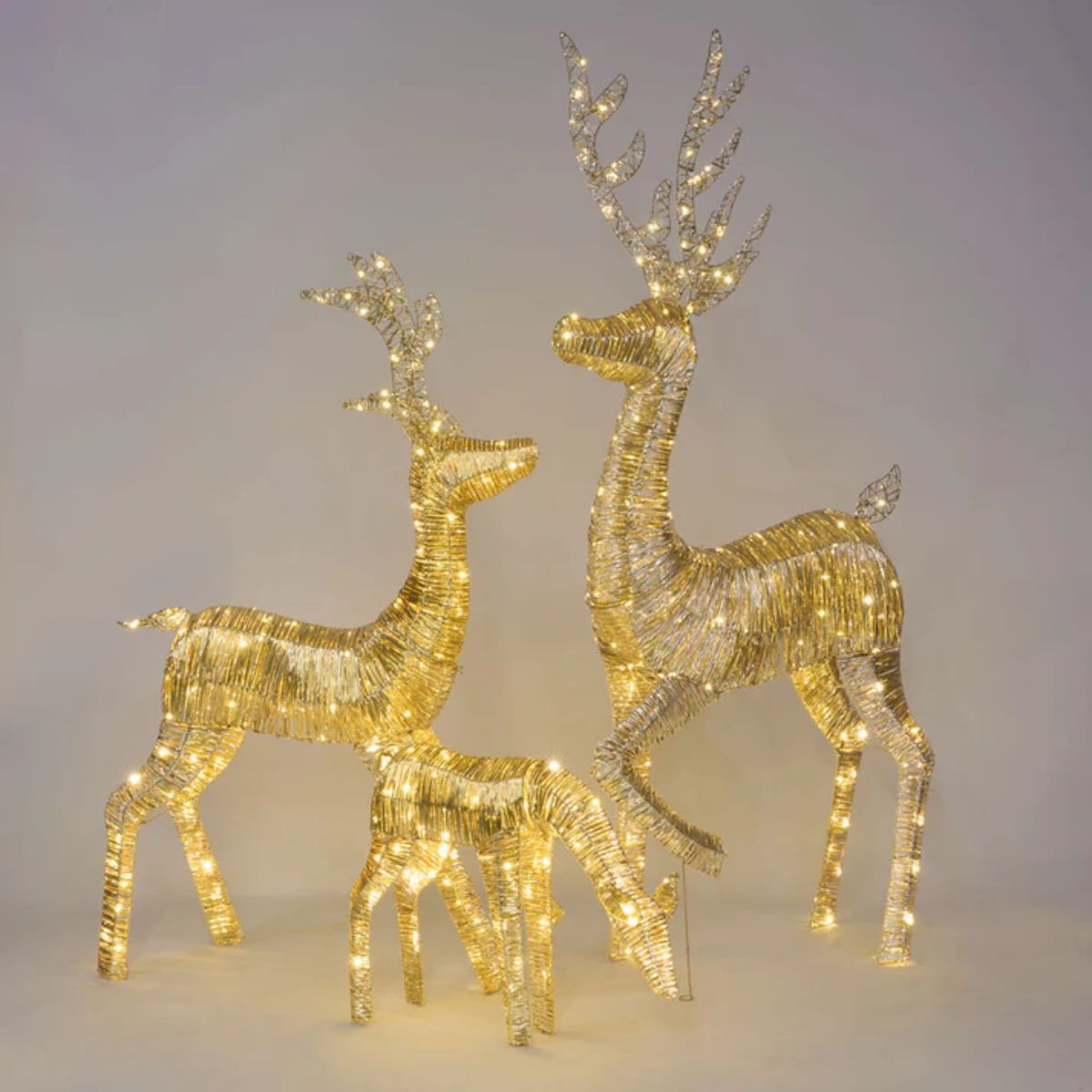 Florabelle Wrapt Light Up Golden Reindeer 55 x 105cm