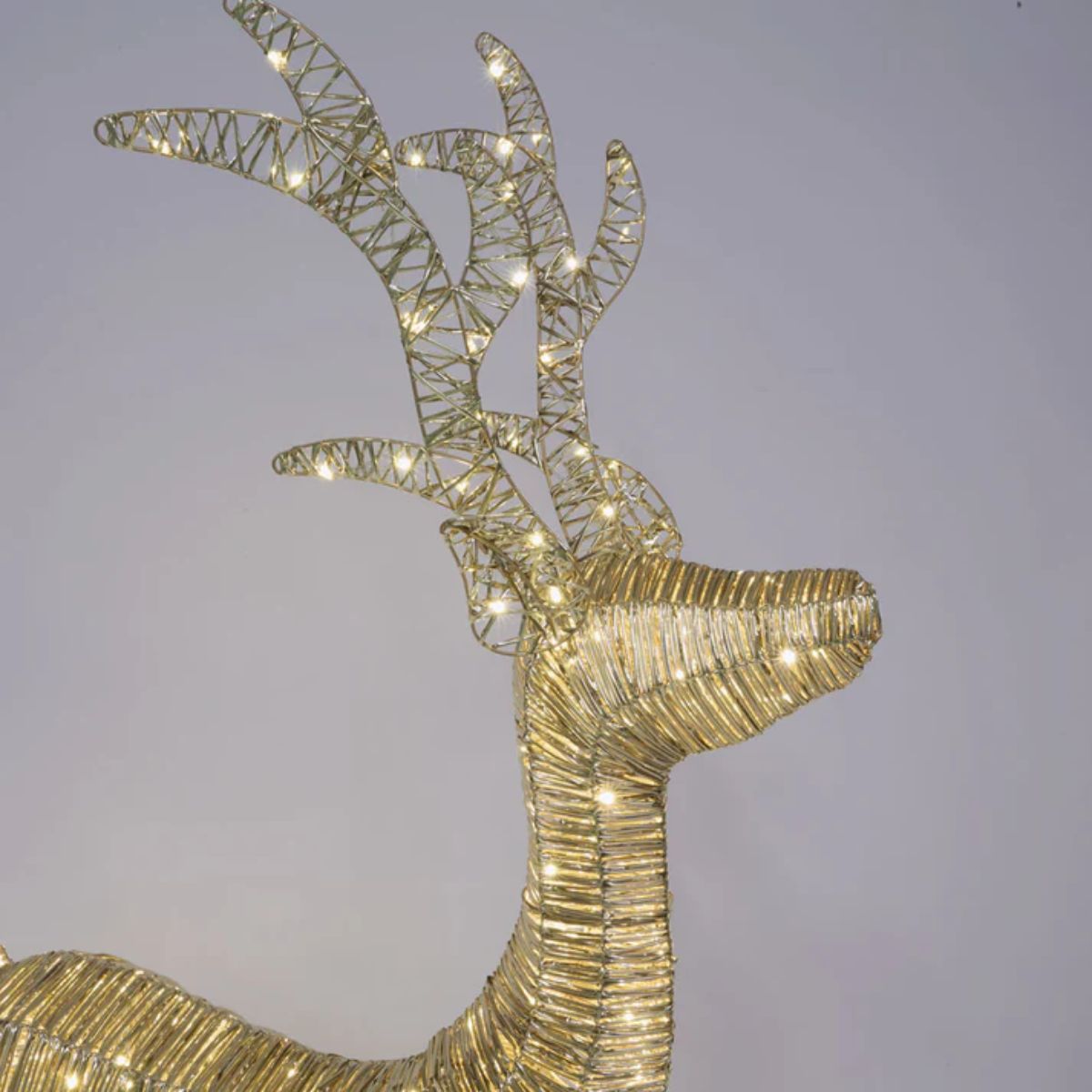 Florabelle Wrapt Light Up Golden Reindeer 55 x 105cm