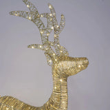 Florabelle Wrapt Light Up Golden Reindeer 55 x 105cm
