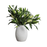 Mediterranean Market Porci Vase White 33x25cm | Minimax