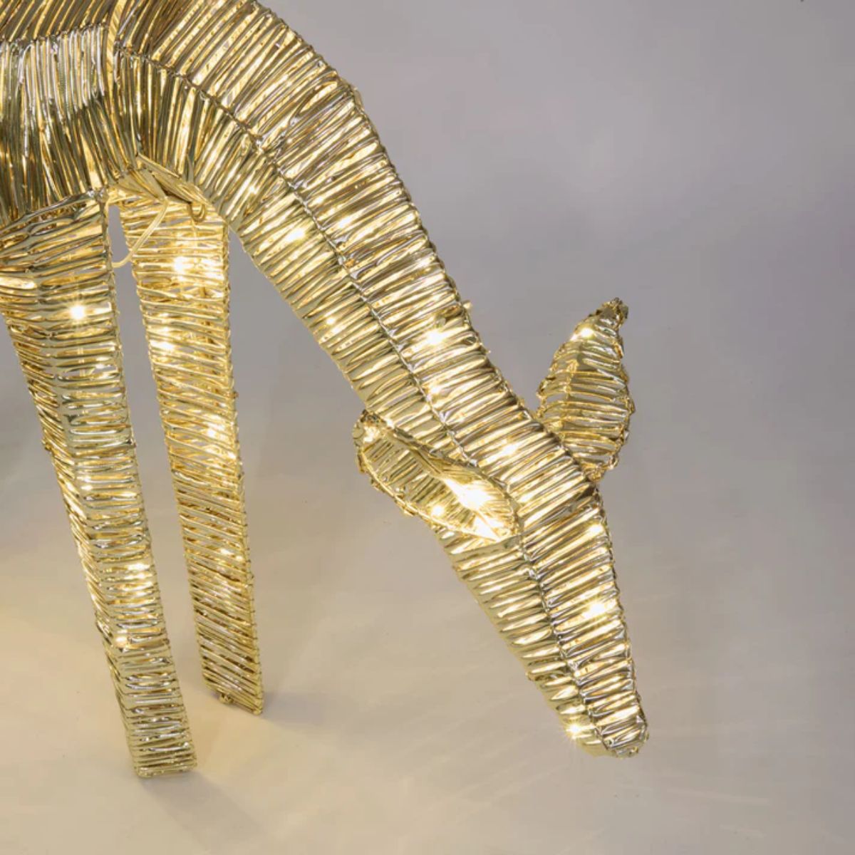 Florabelle Wrapt Light Up Golden Fawn 67 x 50cm