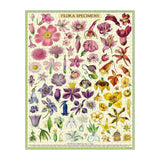 Cavallini & Co Flora Specimens Puzzle 1000 Piece