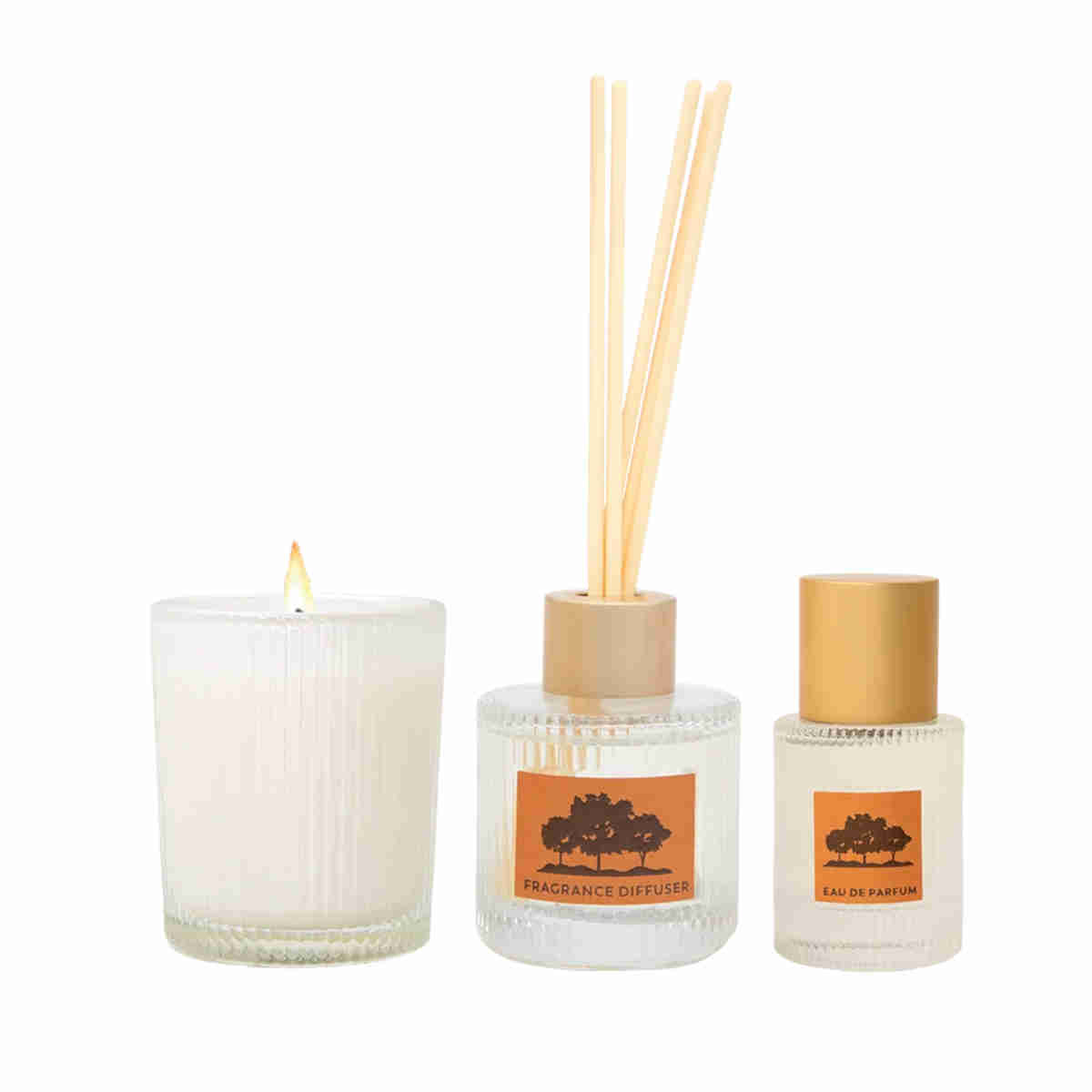 Maine Beach Rangelands Sandalwood Little Luxuries Trio Collection | Minimax
