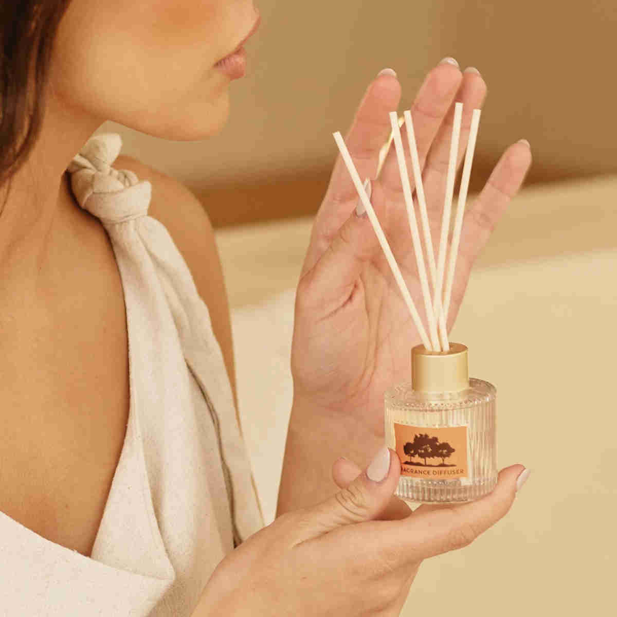 Maine Beach Rangelands Sandalwood Little Luxuries Trio Collection | Minimax