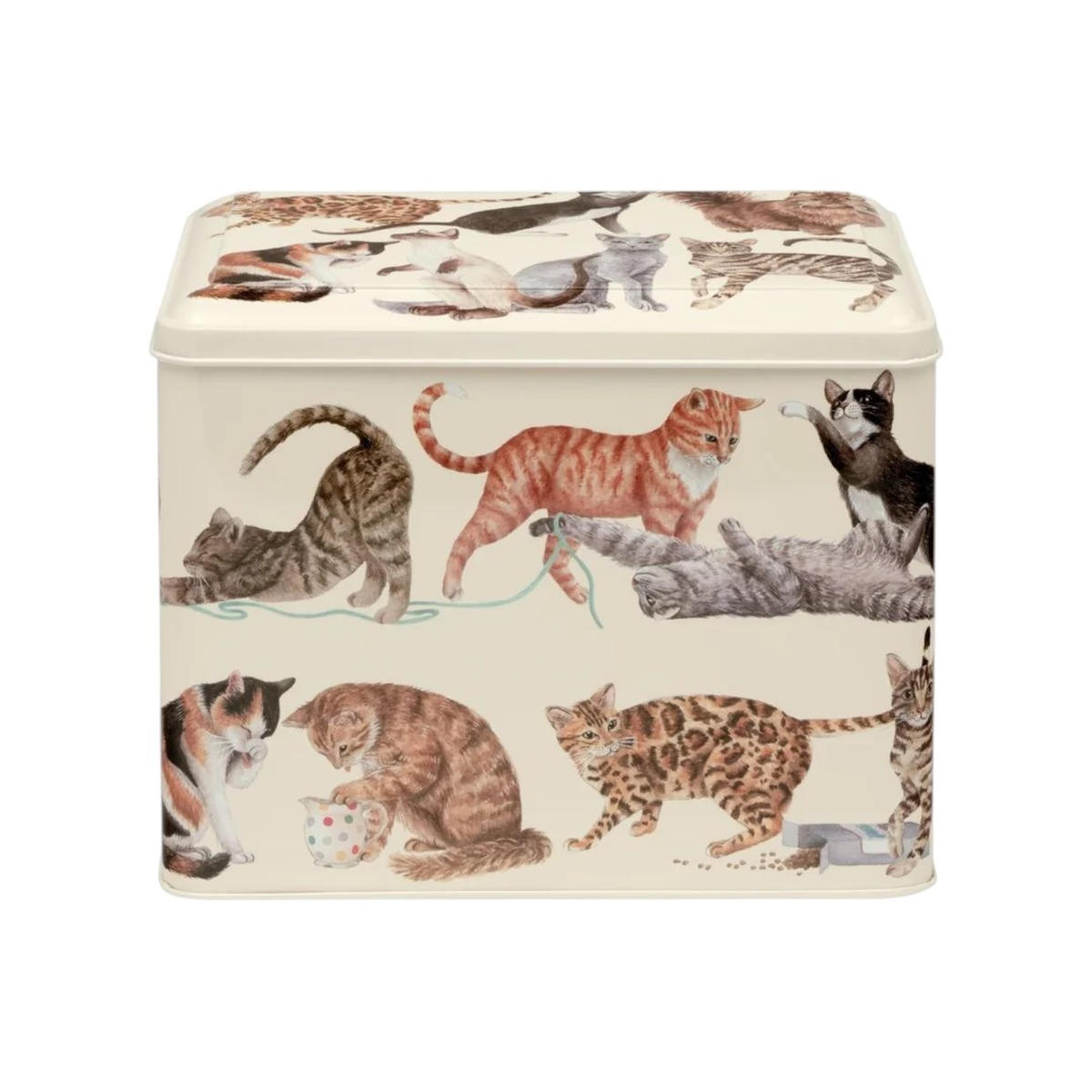 Emma Bridgewater Cat Treat Tin