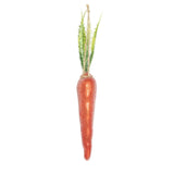 Florabelle Carrot Hanging Decoration 25cm | Minimax