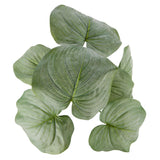 Rogue Hosta-Malia Pot Green 54x40x57cm