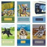 The Little Dog Laughed Password Book - Caught | Minimax