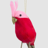 Vixen & Velvet Efina Feather Bird Decoration Red 20cm | Minimax