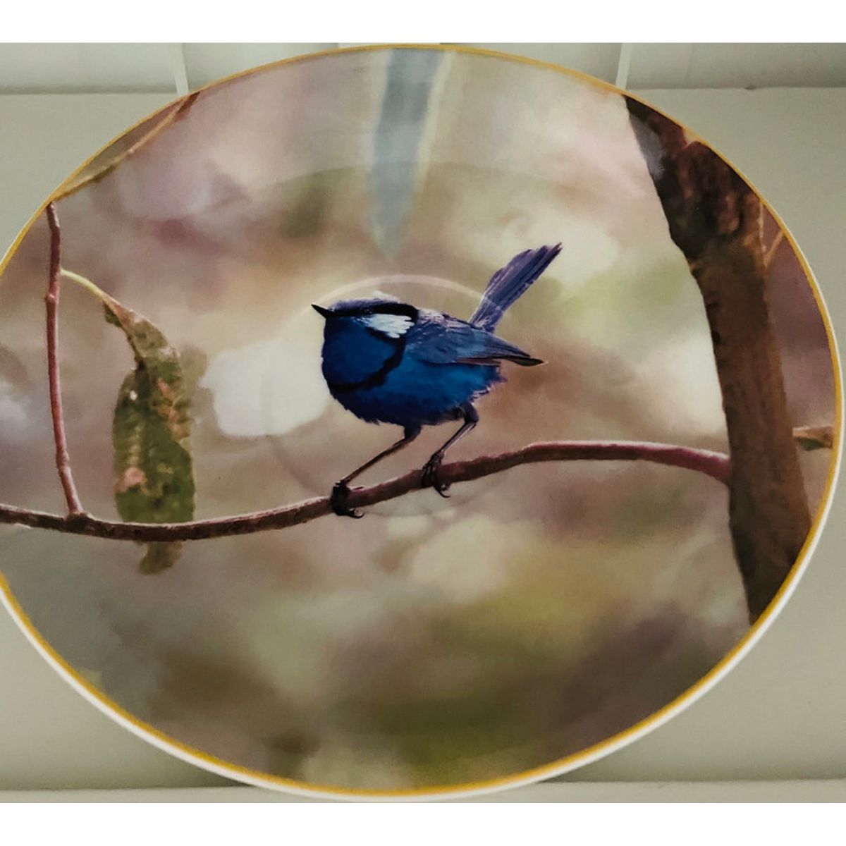 Heritage Breakfast Saucer Blue Wren | Minimax