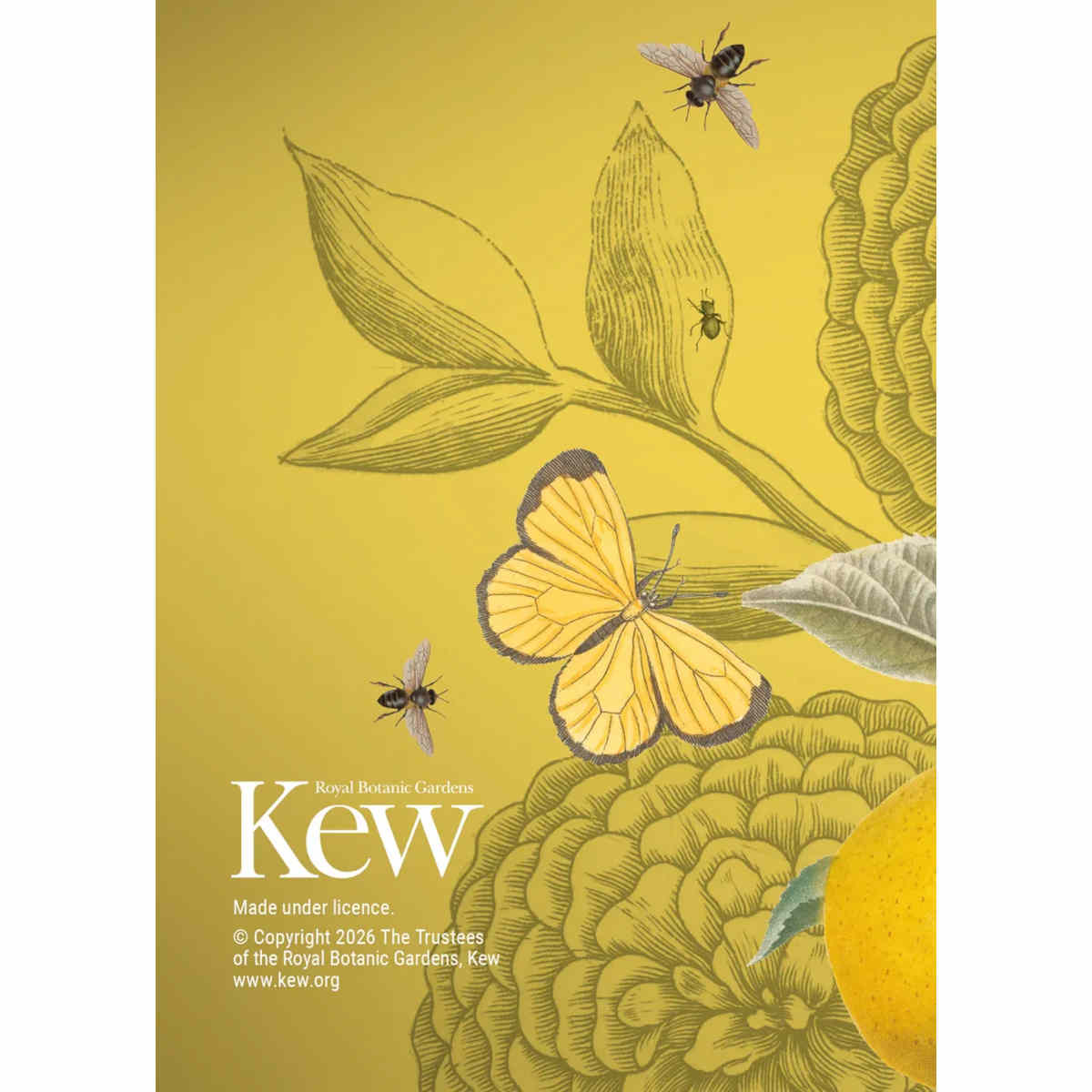 Royal Botanic Gardens 2027 A6 Diary 15x11cm | Minimax