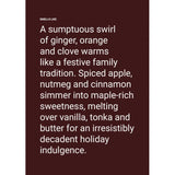 The Aromatherapy Co. Christmas Pud Reed Diffuser 100ml | Minimax