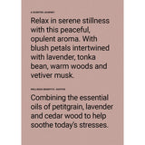 The Aromatherapy Co. Soothe Peony & Petitgrain Diffuser 250ml | Minimax