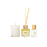 Maine Beach K.I. Ligurian Honey Little Luxuries Trio Gift Set
