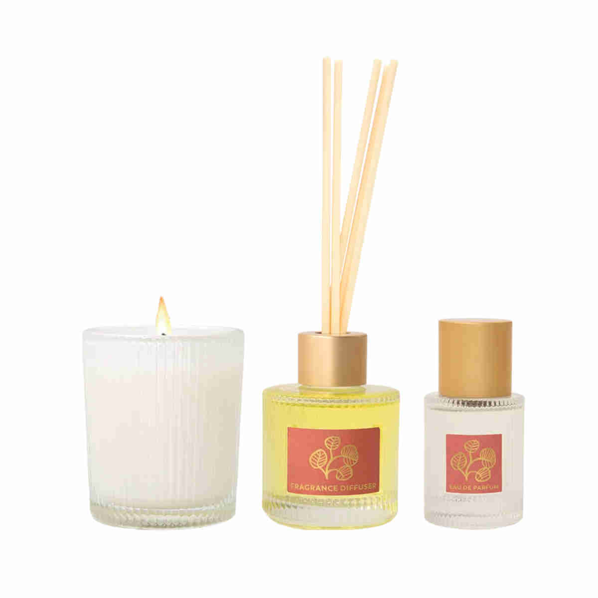 Maine Beach Kakadu Plum Little Luxuries Trio Collection | Minimax