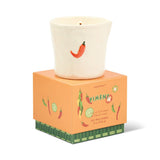Paddywax Bistro Ceramic w/ Embossed Piment (Chili Pepper & Mango) & Printed Box - Piment 226G