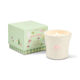 Paddywax Bistro Embossed Macaron & Printed Box - Macaron 226g