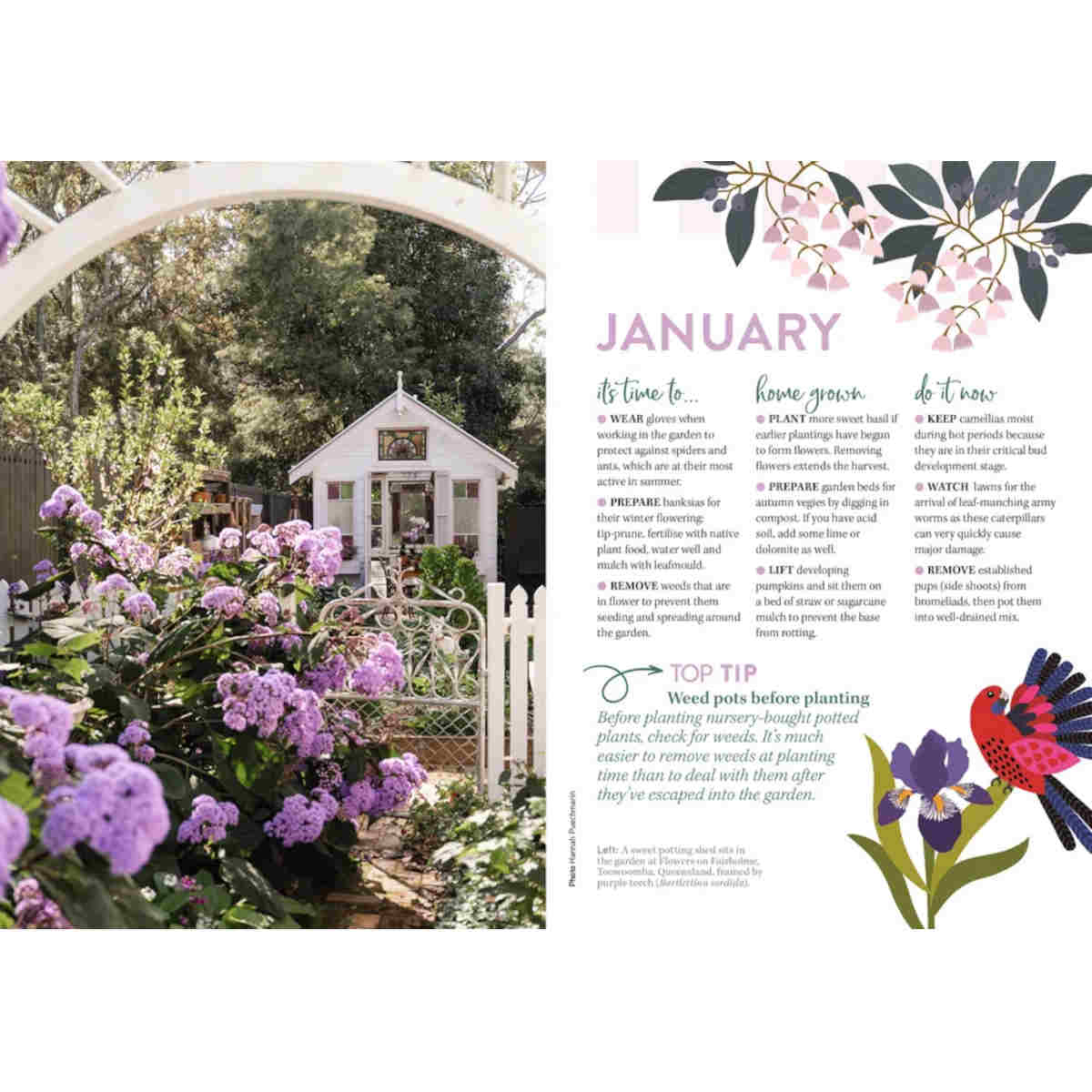 Australian Broadcasting Corporation 2027 Gardening Australia Diary | Minimax