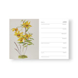Royal Horticultural Society 2027 Pocket Diary | Minimax