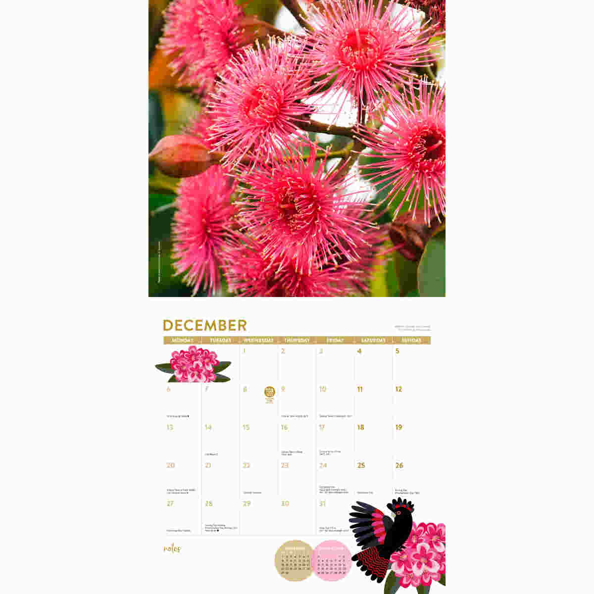Australian Broadcasting Corporation Gardening Australia 2027 Square Wall Calendar