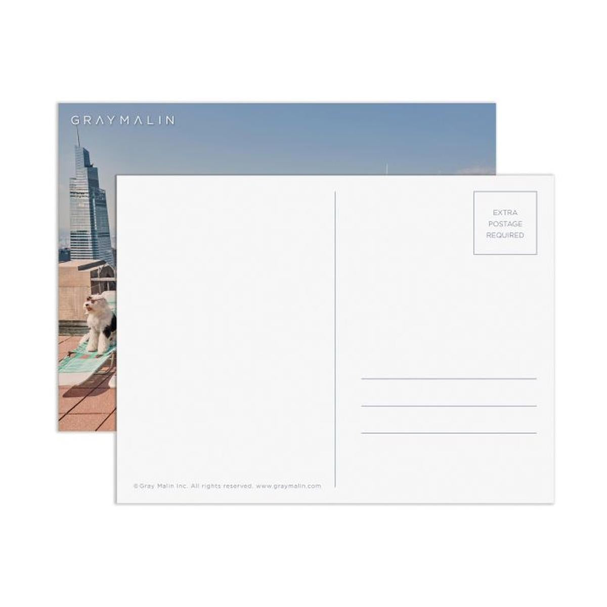 Galison Gray Malin The Dogs of New York City Puzzle 1000 Piece | Minimax