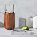 Furi Pro Capsule Knife Block Set 5 Piece