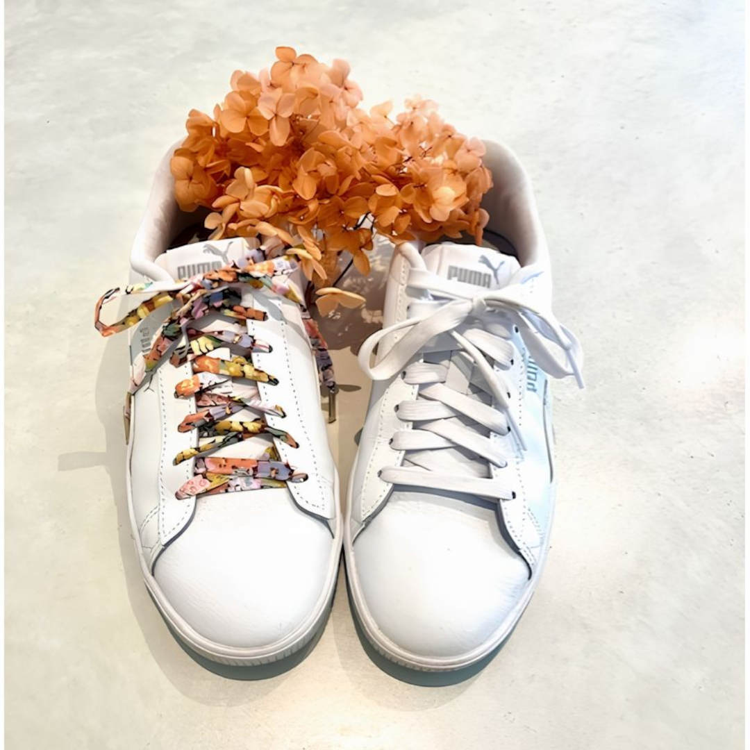 Annas of Australia Liberty Shoelaces Assorted (price per item)