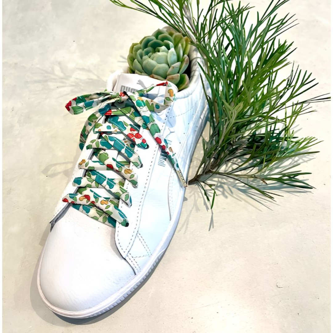 Annas of Australia Liberty Shoelaces Assorted (price per item)