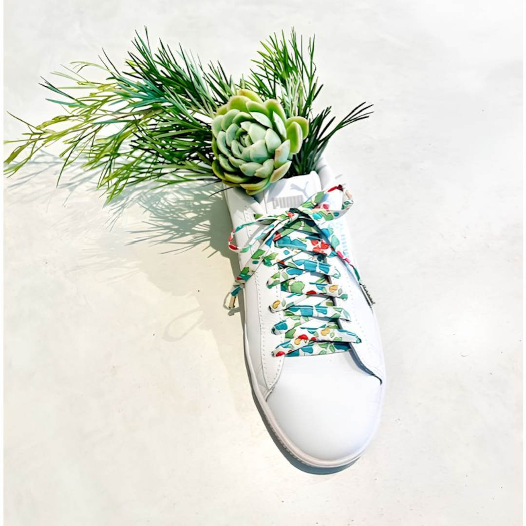 Annas of Australia Liberty Shoelaces Assorted (price per item)
