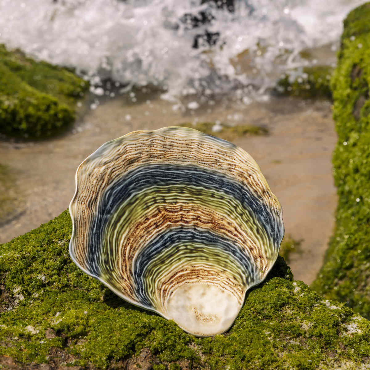 Bordallo Pinheiro Oyster Platter 36cm | Minimax