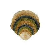 Bordallo Pinheiro Oyster Platter 36cm | Minimax