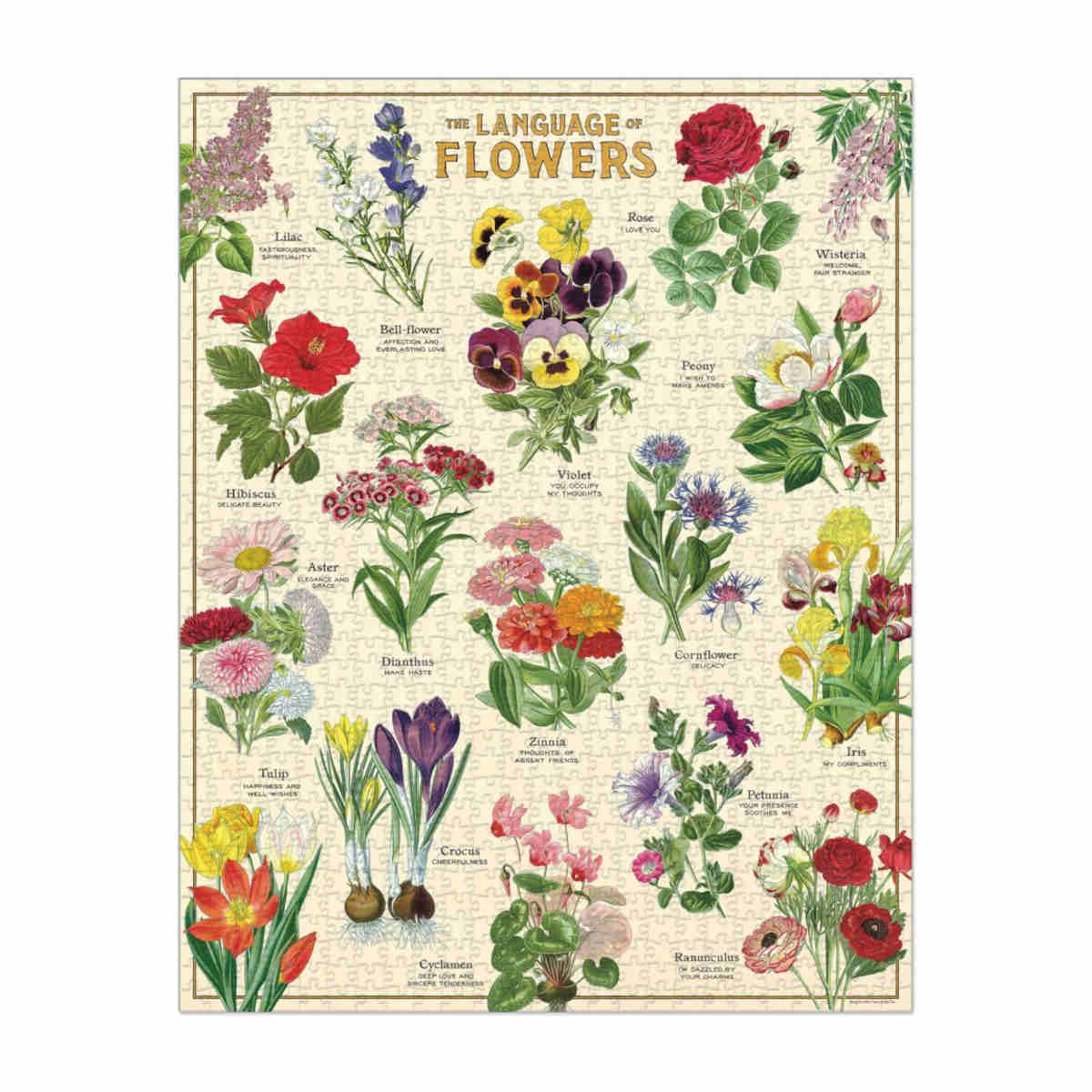 Cavallini & Co Language of Flowers 1000 Pc Vintage Puzzle | Minimax