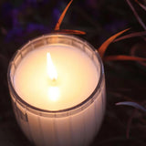 Peppermint Grove Australia Camellia & Lotus Blossom Candle 60g | Minimax