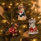 RAZ Dog in Suit Ornament Assorted 11cm (price per item) | Minimax
