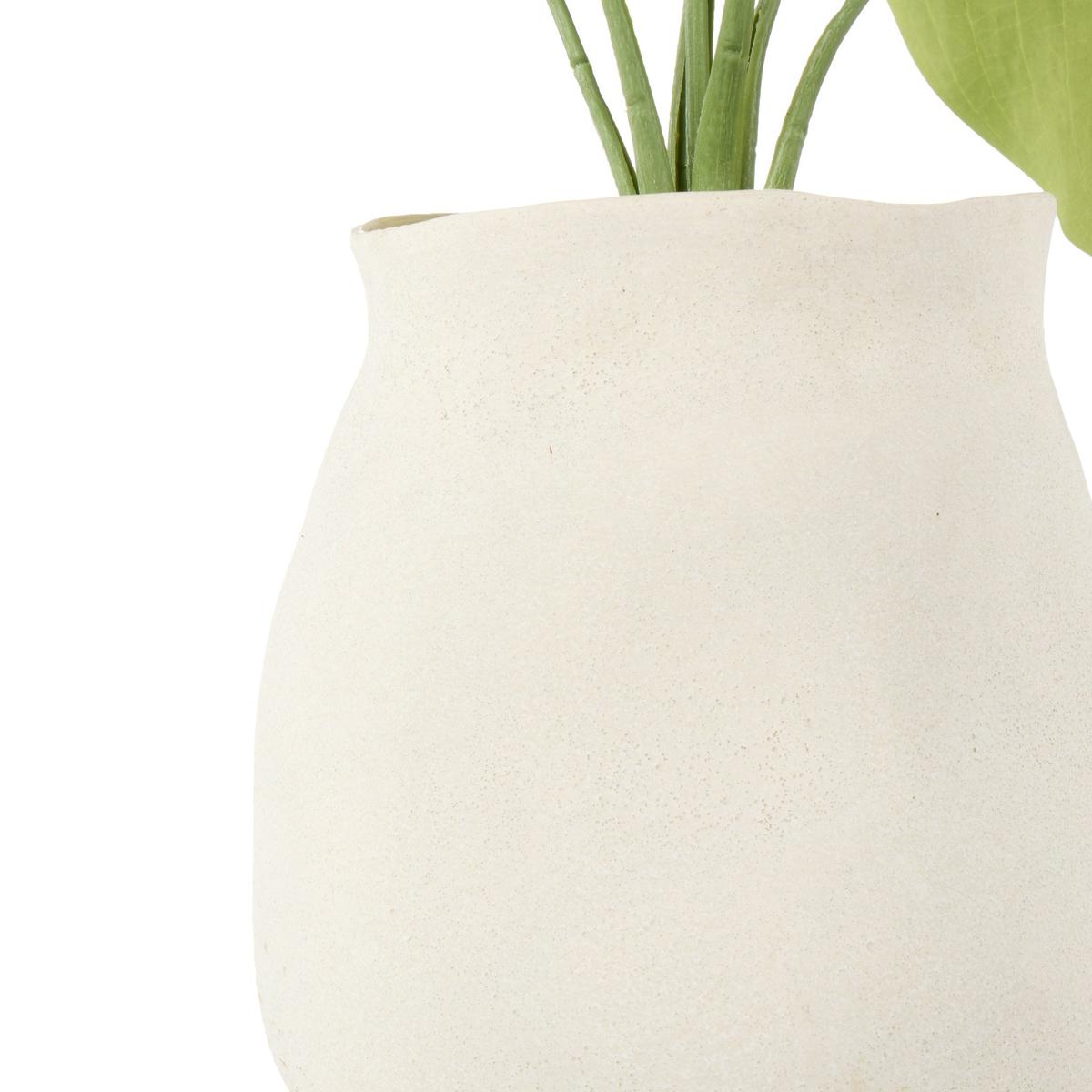 Rogue Hosta-Malia Pot Green 54x40x57cm