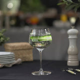RIEDEL Grape@RIEDEL Chardonnay/Gin Tonic 650ml (Set of 2)