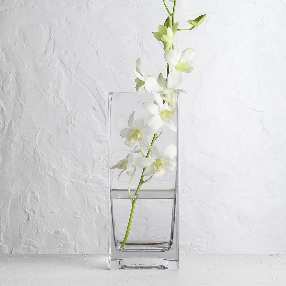 Ecology Fleur Square Vase 25cm | Minimax - with white flower