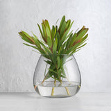 Ecology Fleur Bouquet Vase with a Green Plant 18cm | Minimax