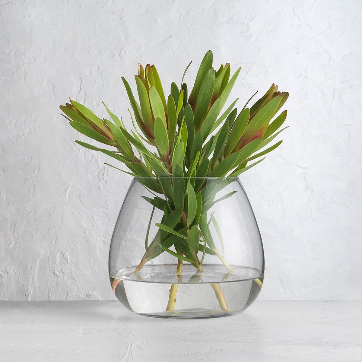 Ecology Fleur Bouquet Vase with a Green Plant 18cm | Minimax