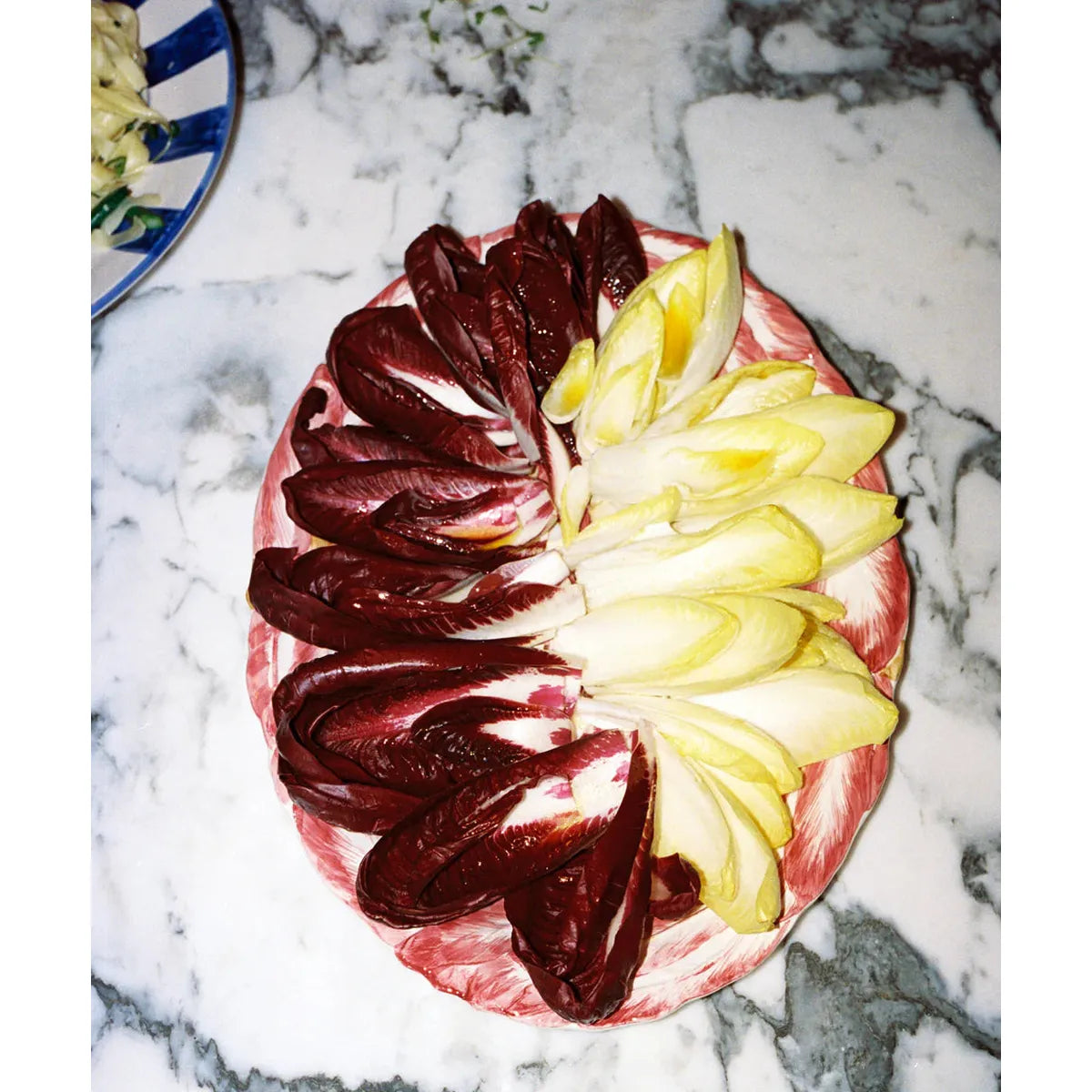 La Ceramica Radicchio Oval Platter Red 49cm