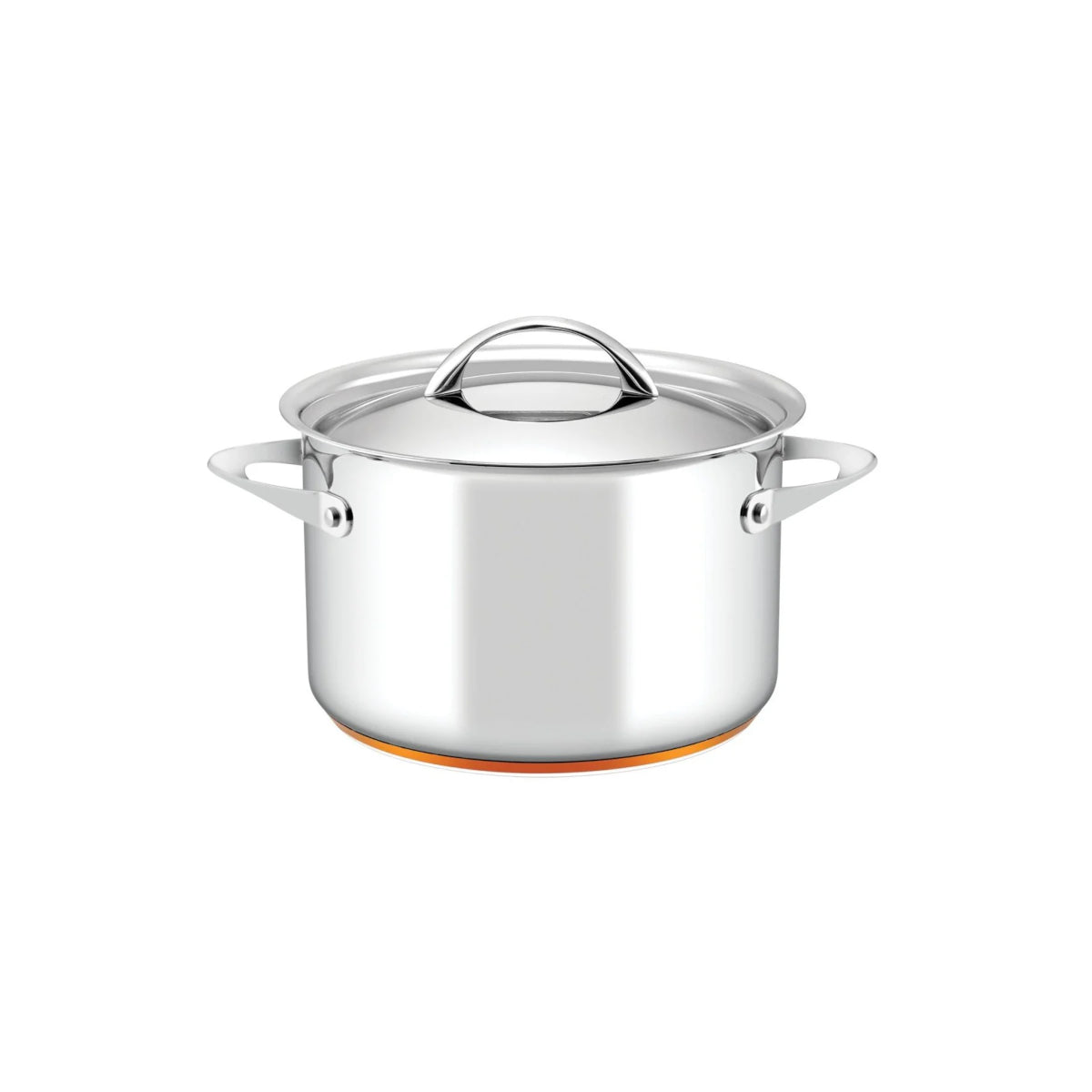 Essteele Per Vita Copper Base Stainless Steel Induction Covered Stockpot 24cm (7.1L) | Minimax