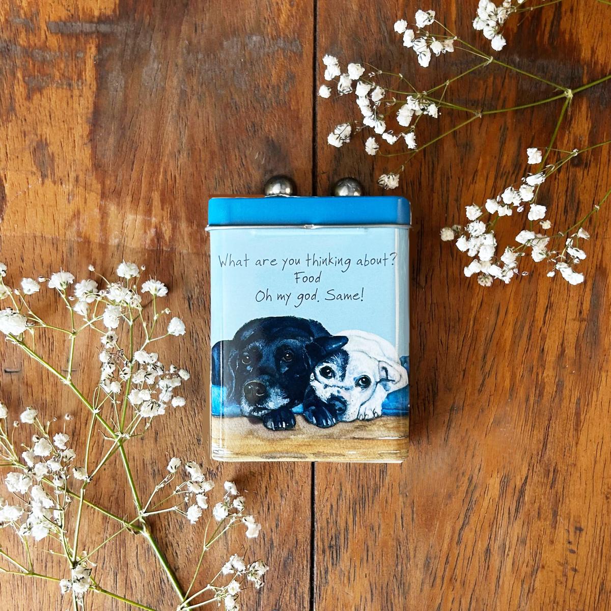 The Little Dog Laughed Thinking Food Treat Tin | Minimax