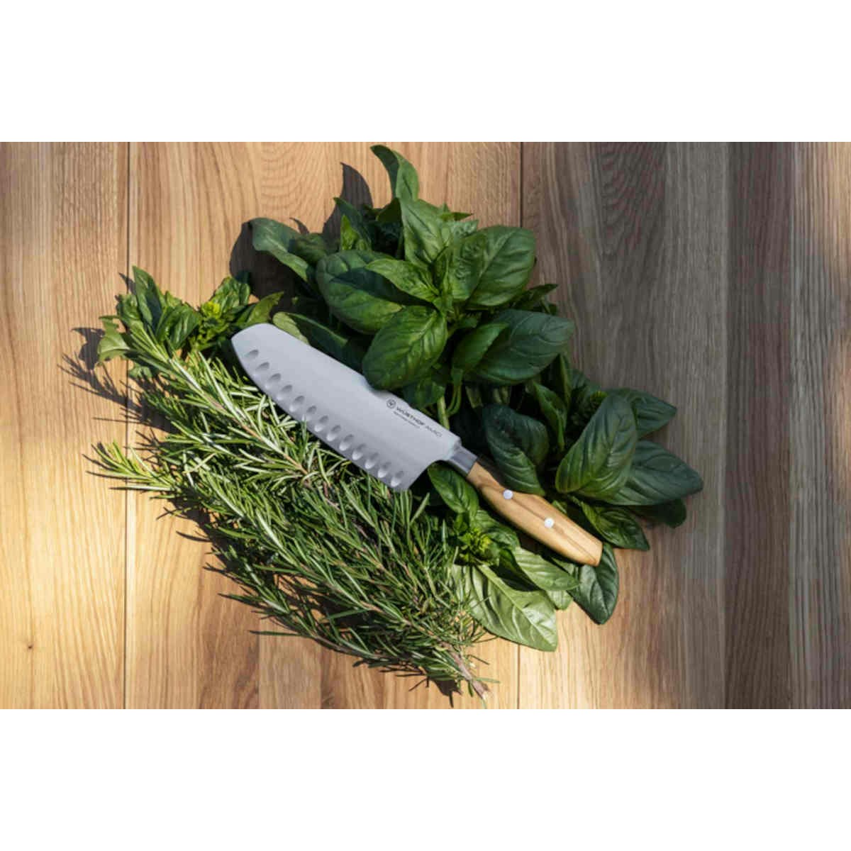 Wusthof Amici Santoku Knife 17cm