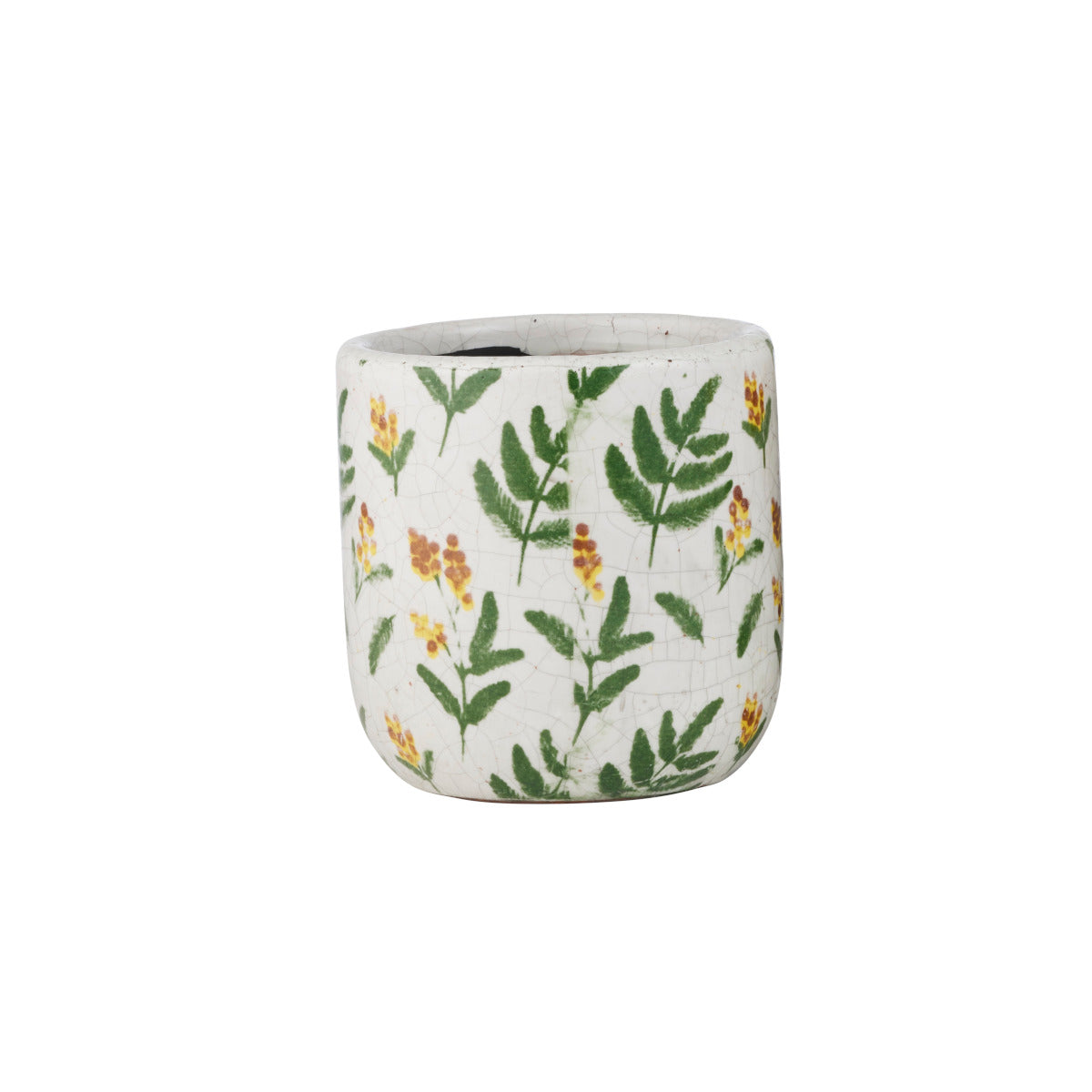 Life Botanic Wattle Ceramic Pot Green/Yellow 12.5cm