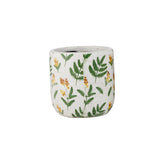 Life Botanic Wattle Ceramic Pot Green/Yellow 12.5cm